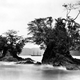 Illustration for article titled This Expedition Helped Decide The Location Of The Panama Canal